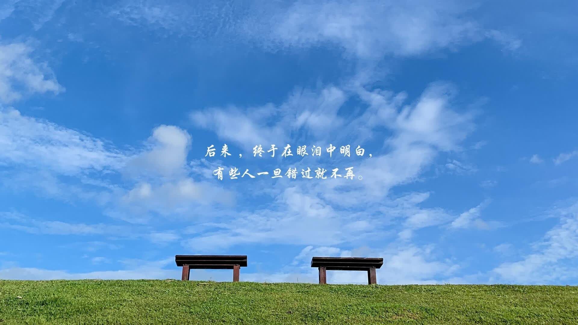 电视剧十大排行（电视剧排行榜排名前十名）